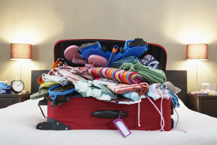 traveller luggage