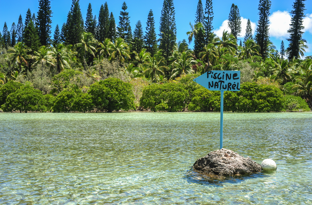 Piscine Naturel