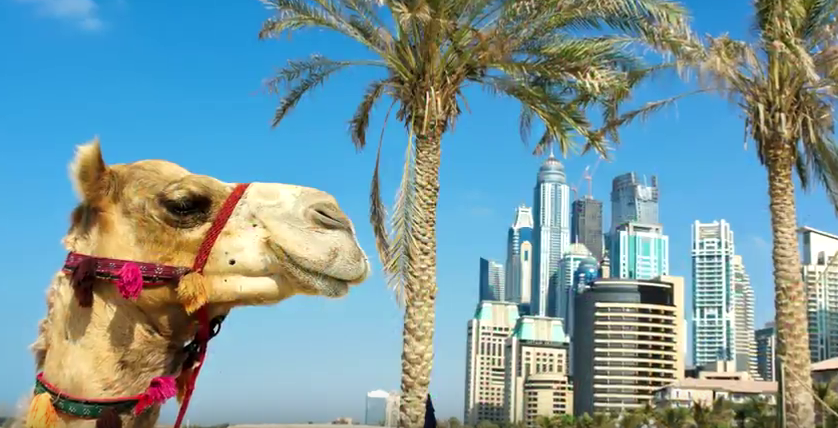 Crystal Cruises staff share their favourite destinations