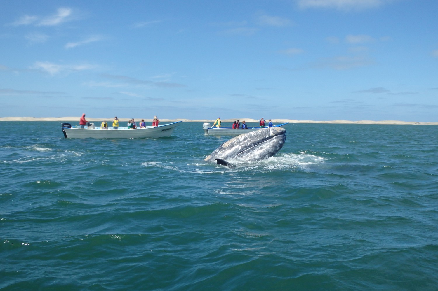 smallship-adventurecruising-destinations-cruisepassenger