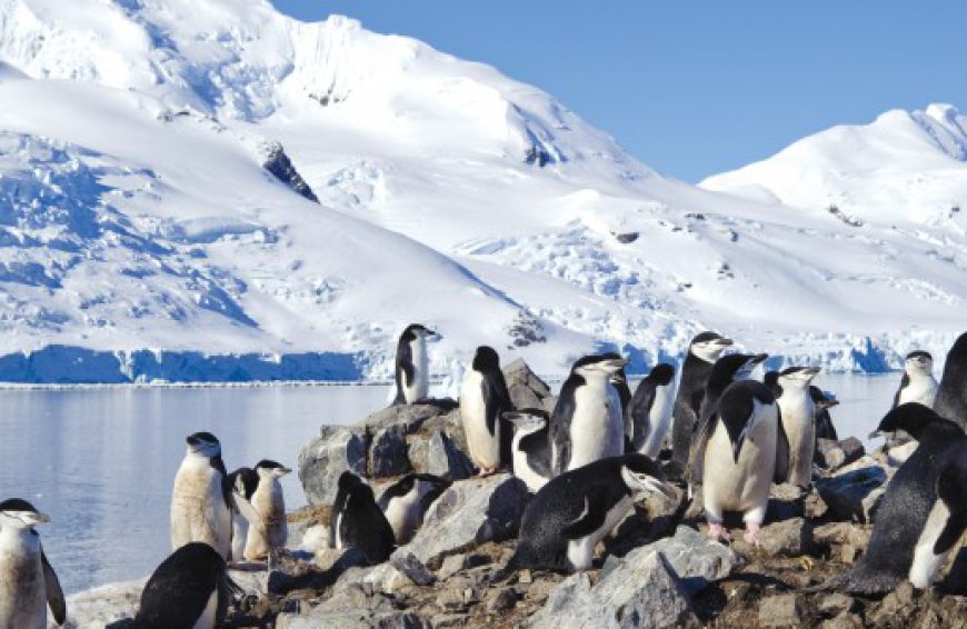 Destination: Antarctica