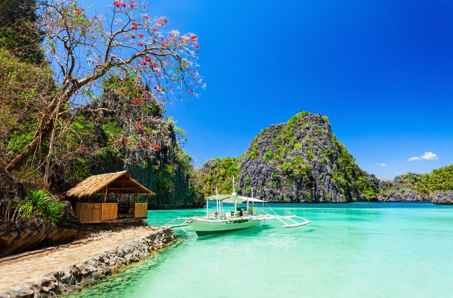 Cruise line scouts to buy private island