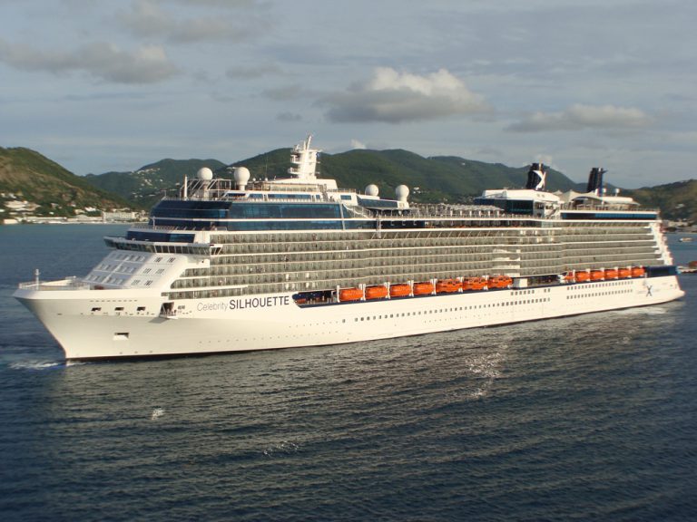 Celebrity Silhouette