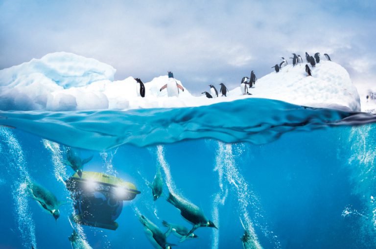 Cruise lines changing the face of luxury expedition cruising