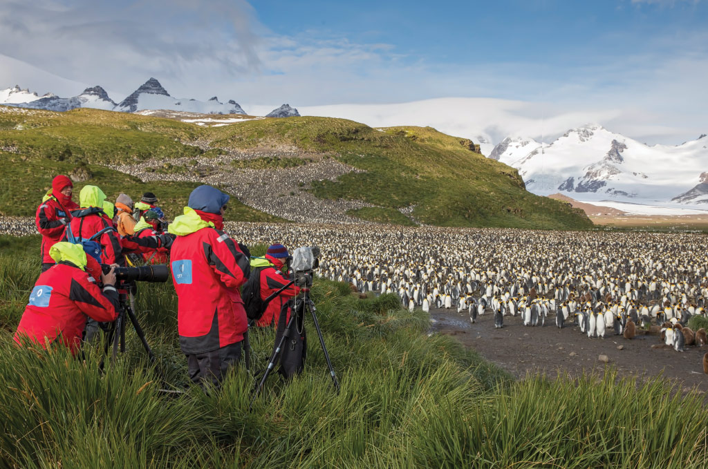 Akademik Sergey Vavilov: penguins in South Georgia