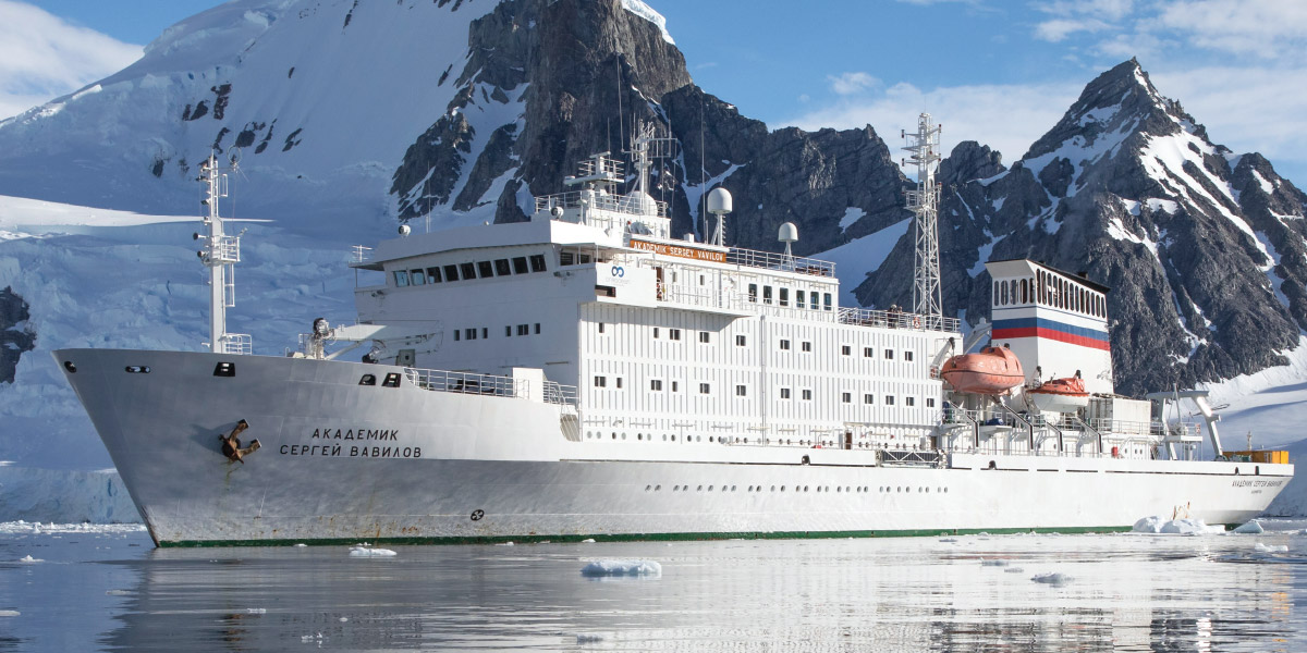 Antarctic Dreaming