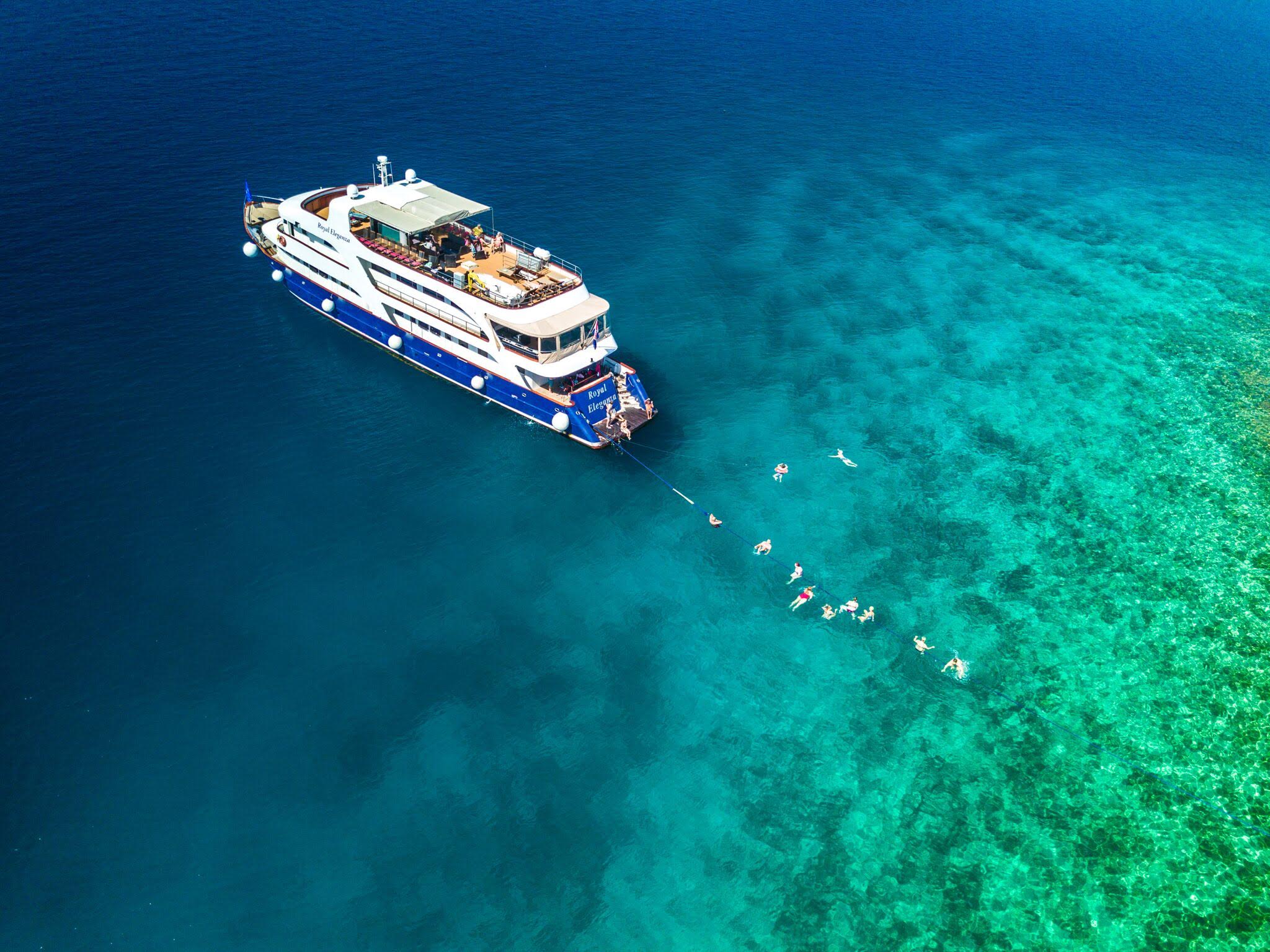 New small ships fleet proves big hit with cruisers
