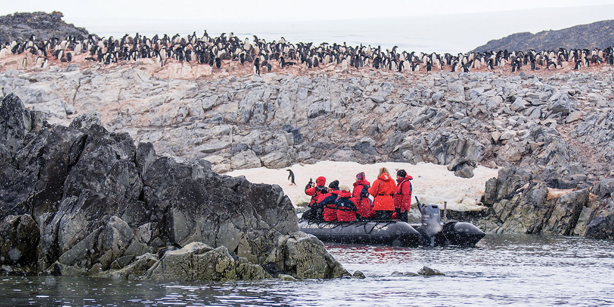 Best in Antarctica
