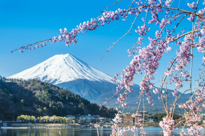 2016 0811 Mt Fuji Cherry Blossom Lake Kawaguchiko Japan shutterstock 137554349 preview