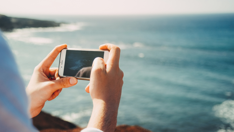 Oceania Cruises to offer free WiFi to all passengers
