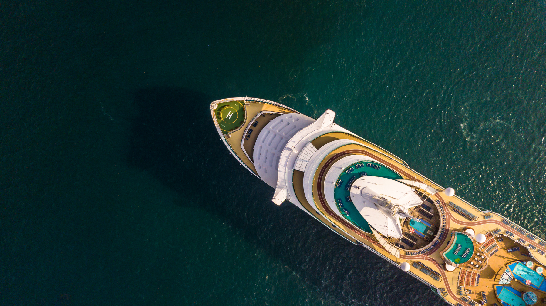 Early Bird cruise bookings