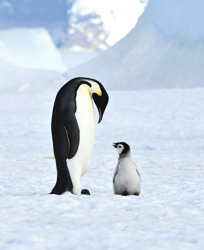 Photography in cold climates