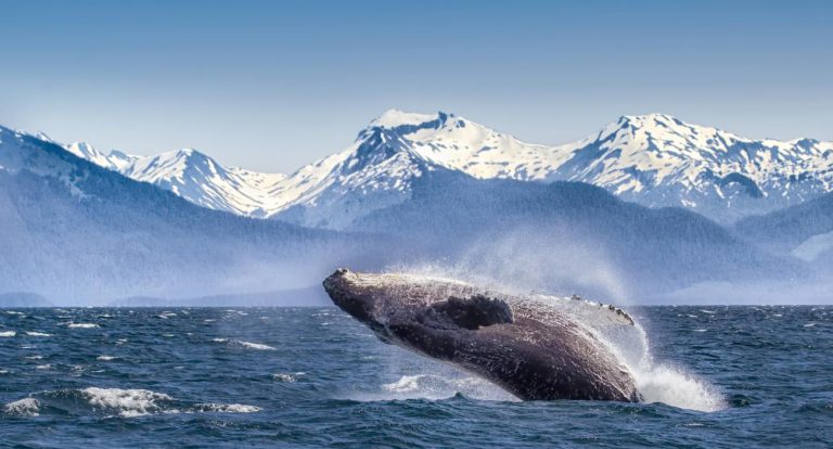 Luxury line Cunard returns to Alaska after 20 years