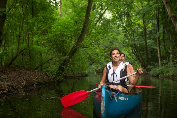 Active Discovery, Avalon Waterways