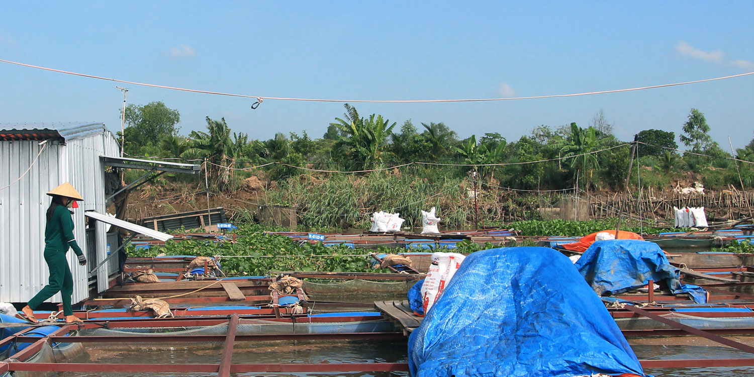 Vietnam Mekong highlights