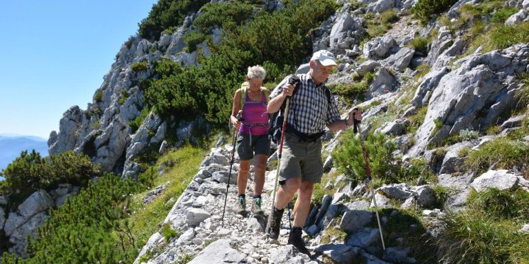Best Rhine walking trails