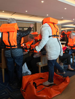 Viking Sky rescue