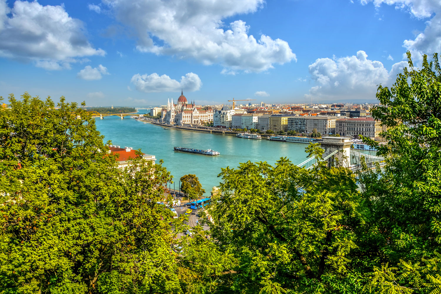 The river cruise lines