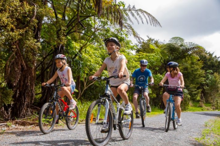 Cycle the Bay of Islands