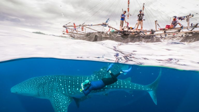 Coral Expeditions launches 2021 expeditions to the East Indies