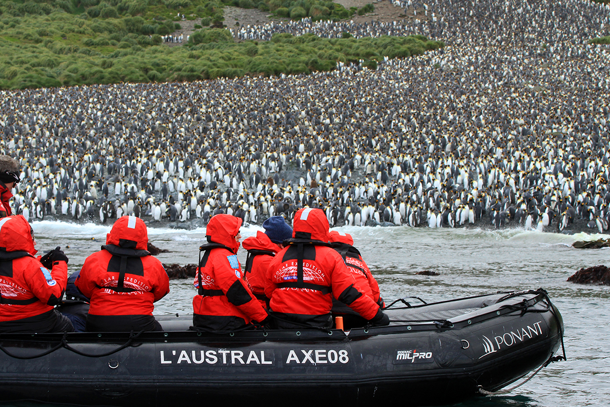 Lusitania Bay Macquarie Island