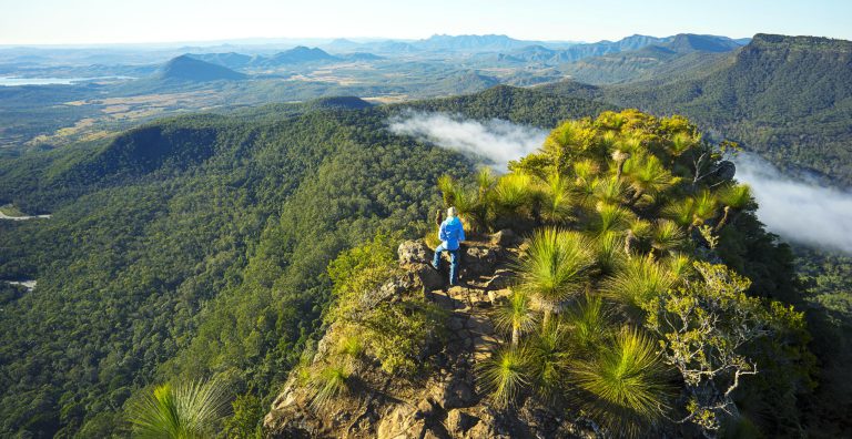 Mount Mitchell Scenic Rim