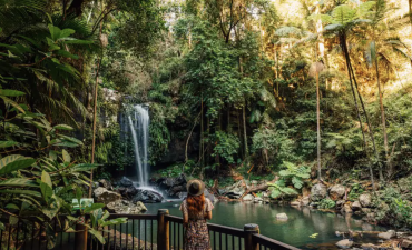 The falls at Tambourine Mountain