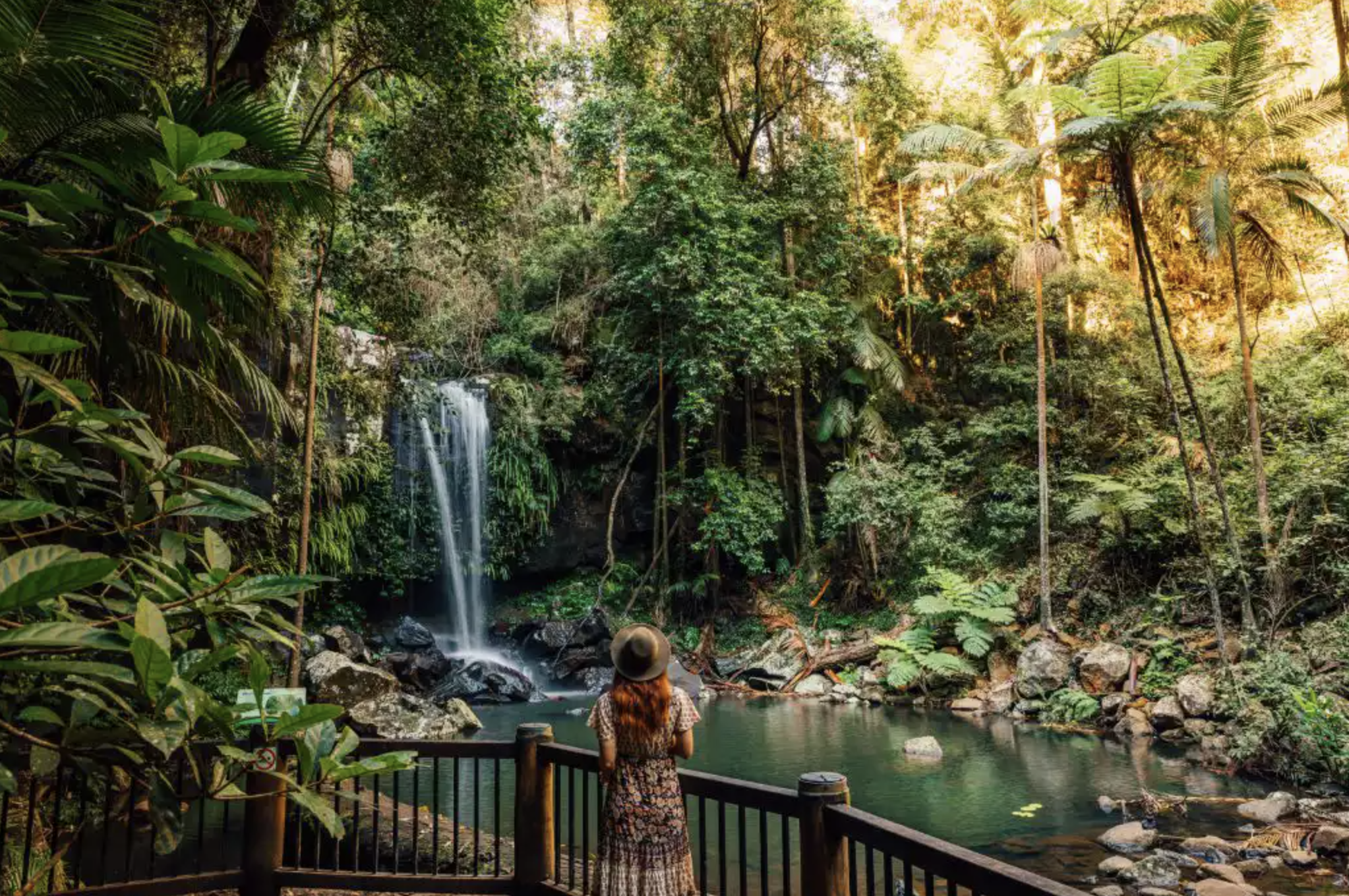 The falls at Tambourine Mountain