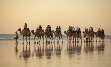 Cable Beach camel