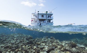 Coral Expeditions in the Great Barrier Reef