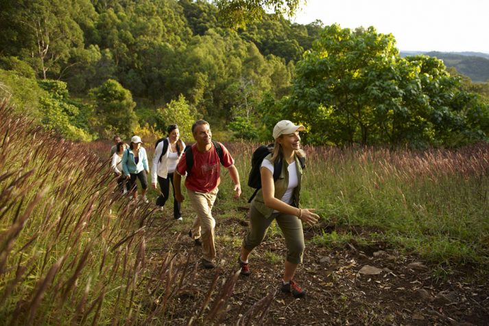 A hike at Gwinganna