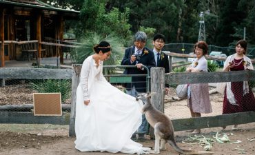 Secret Creek Animal Sanctuary