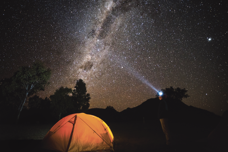 The Dark Park Sky
