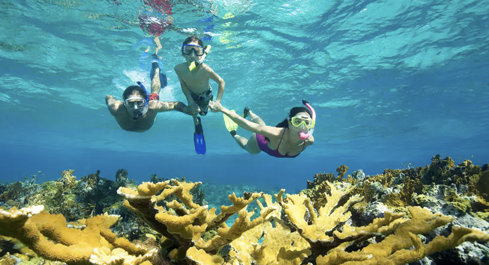 New Future Cruise Credit site offers $365 lure - but rivals claim they are "poachers"
