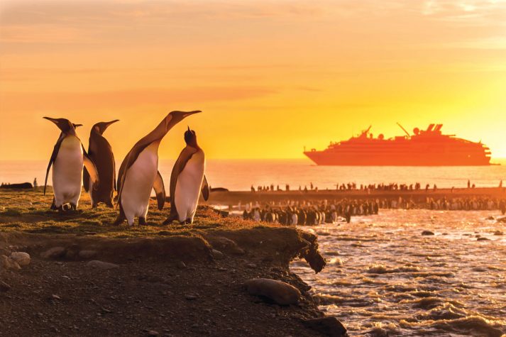 Best Adventure Cruise Line 2020