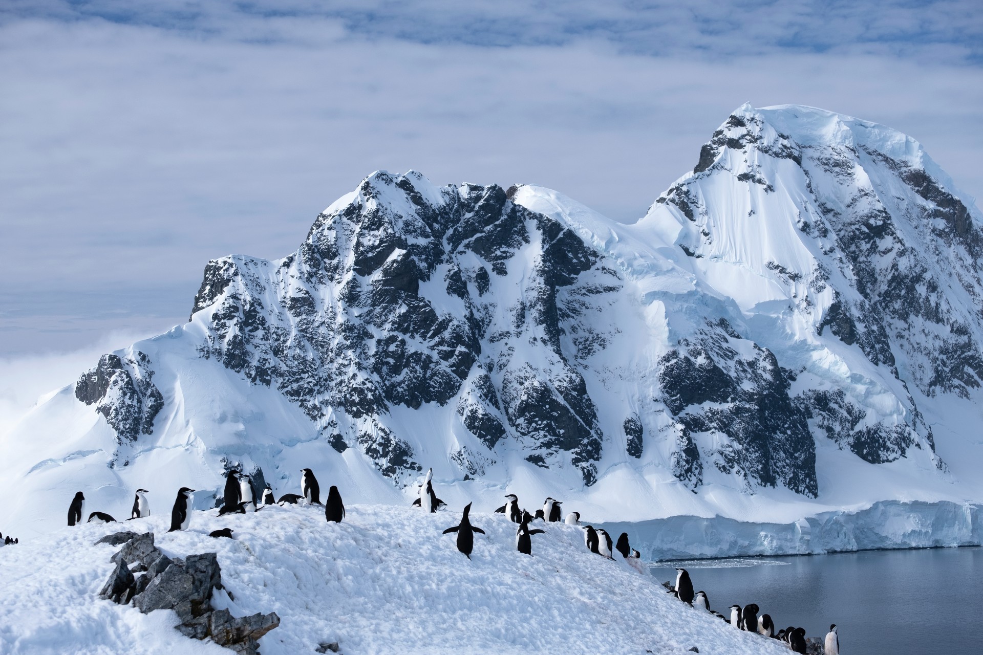 Orne Harbour Antarctica