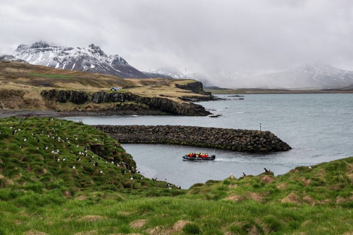 Bakkagerði Iceland HGR 137842 1920 Photo Camille Seaman