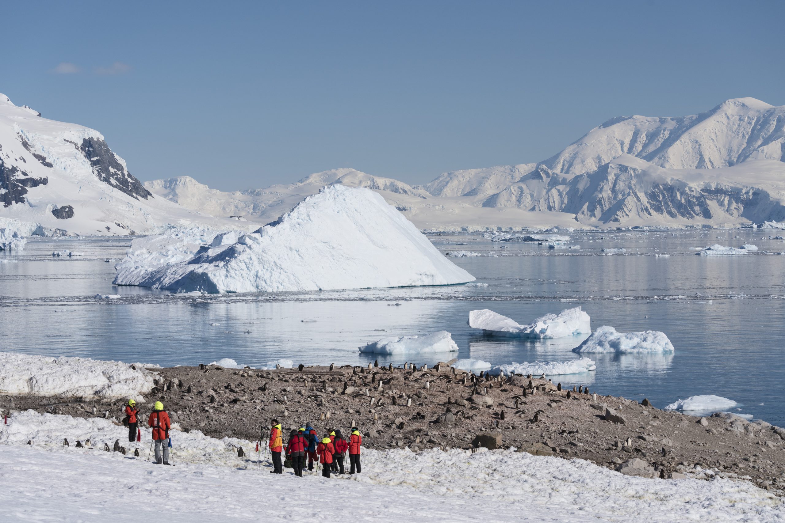 Neko Harbour Antarctica HGR 144572 Photo Chelsea Claus scaled