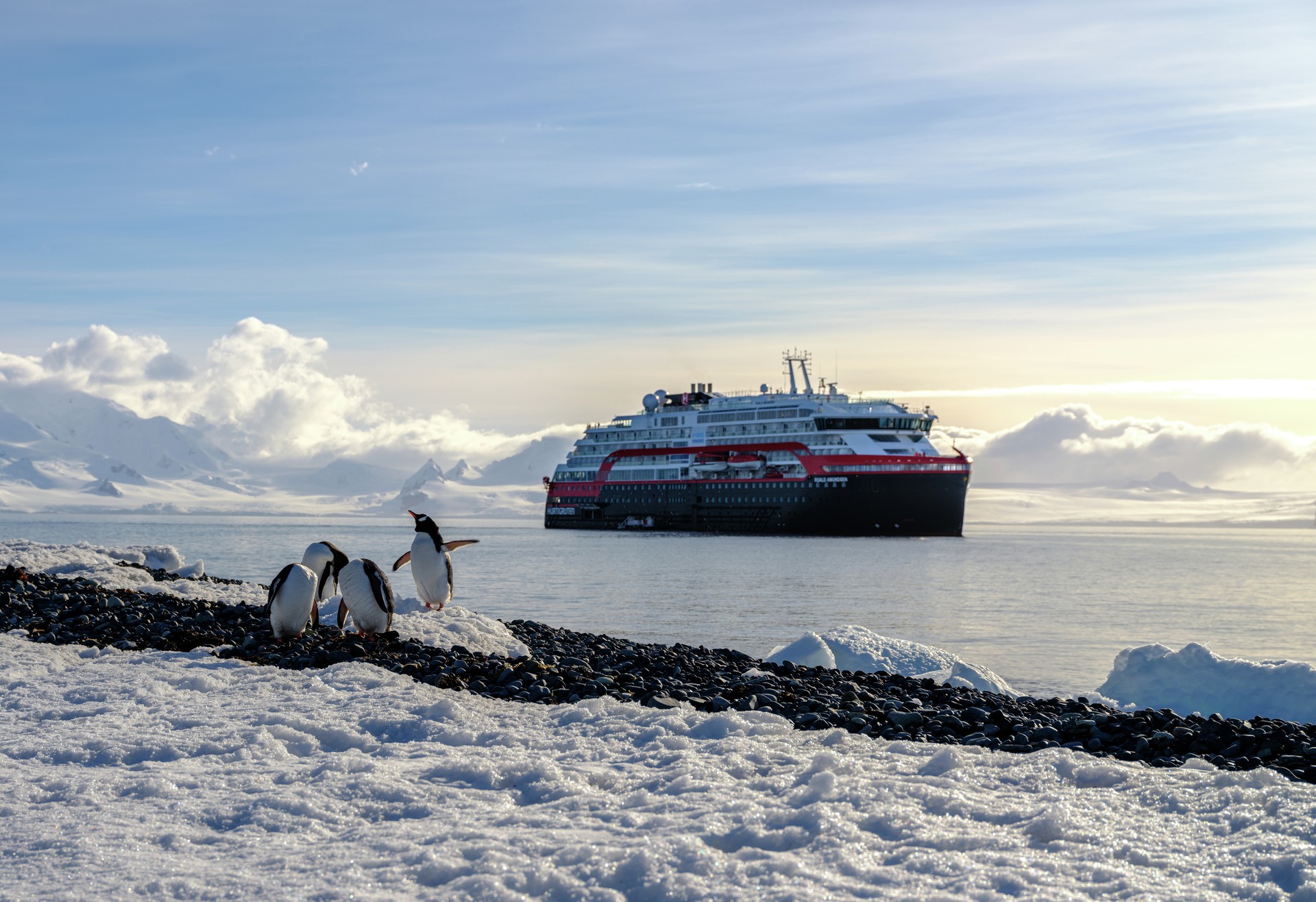 Penguins, seals and whales galore in Antarctica from as little as $666 per day