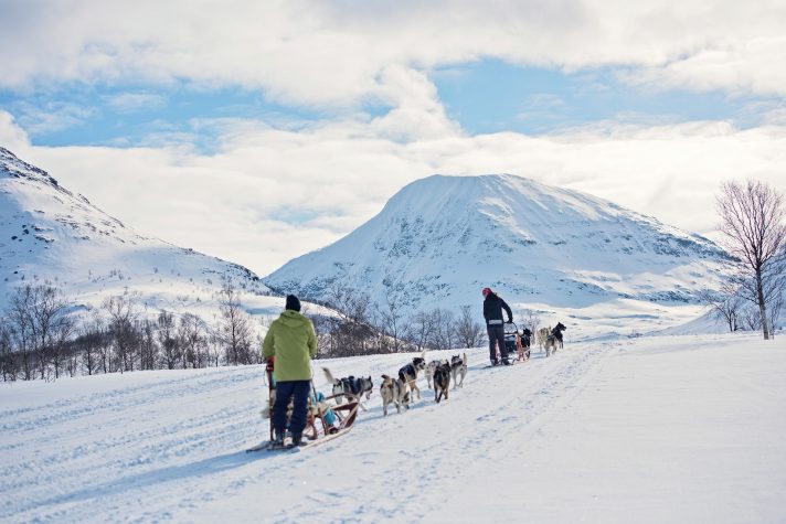 Dog sledding Coastal Expedition Norway HGR 136501 1920 Photo Agurtxane Concellon