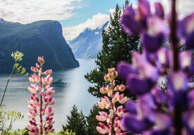 Geirangerfjord Norway HGR 104518 1920 Photo Photo Competition