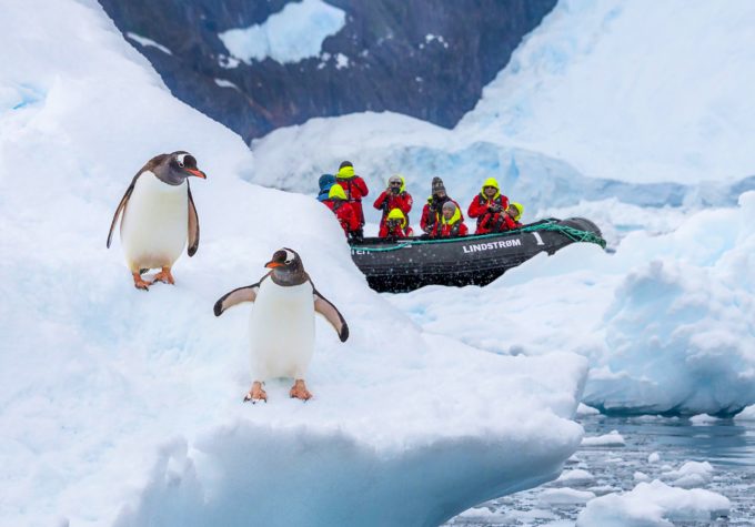 Antarctica Neco Harbour Antarktis HG crop