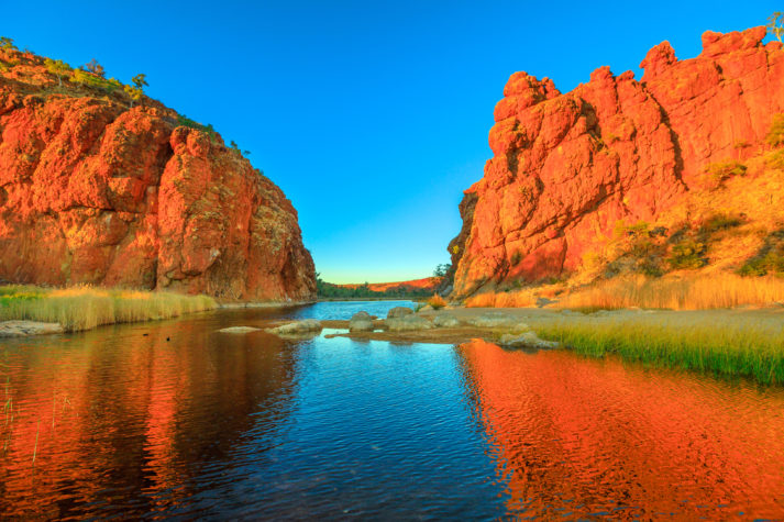 iStock 1190576160