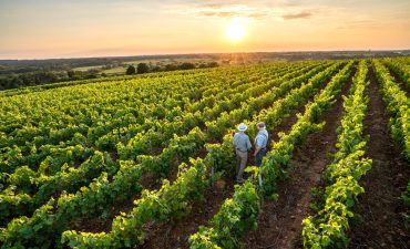 Climb onboard the Indian Pacific to Perth and taste some of the best local produce and wine in Margaret River