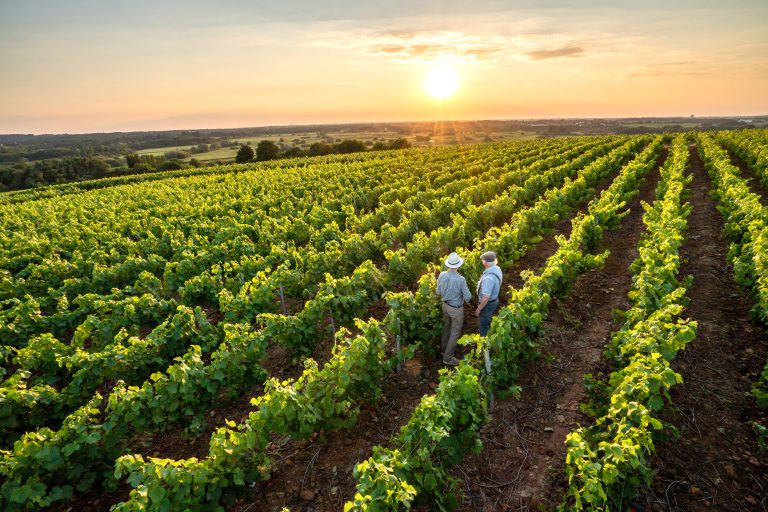 Climb onboard the Indian Pacific to Perth and taste some of the best local produce and wine in Margaret River