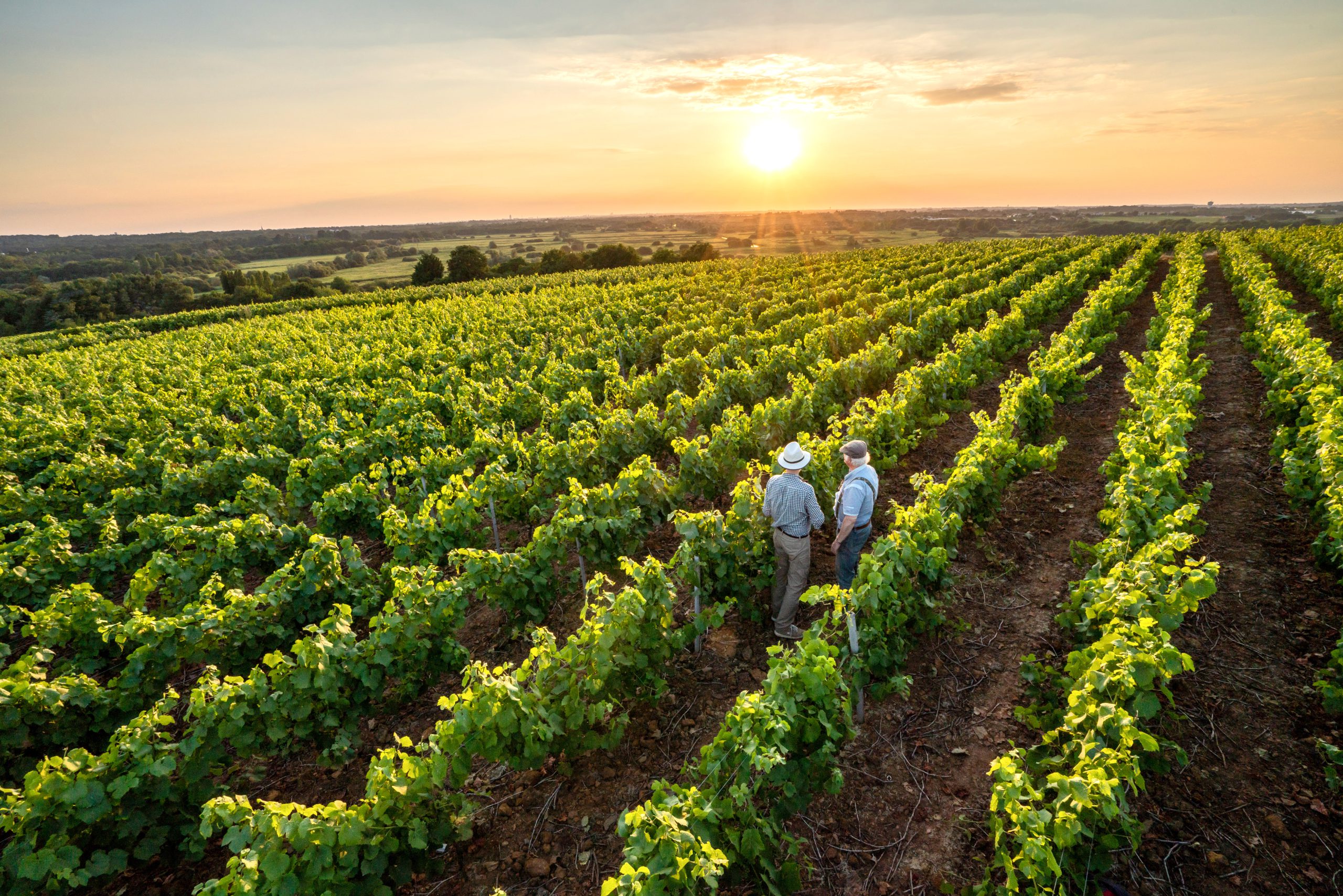 Climb onboard the Indian Pacific to Perth and taste some of the best local produce and wine in Margaret River