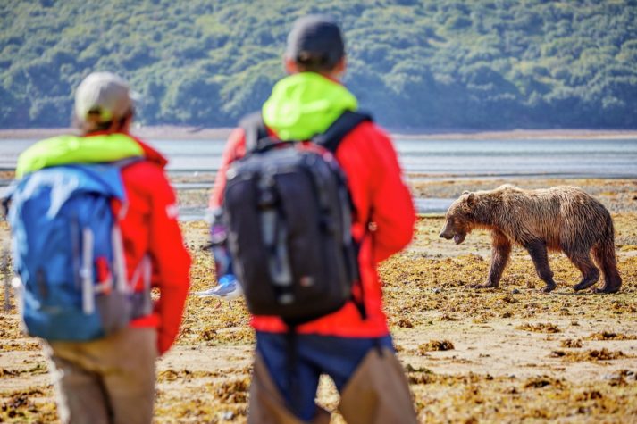 Katmai NP Alaska HGR 145317 1920 Photo Ashton Ray Hansen