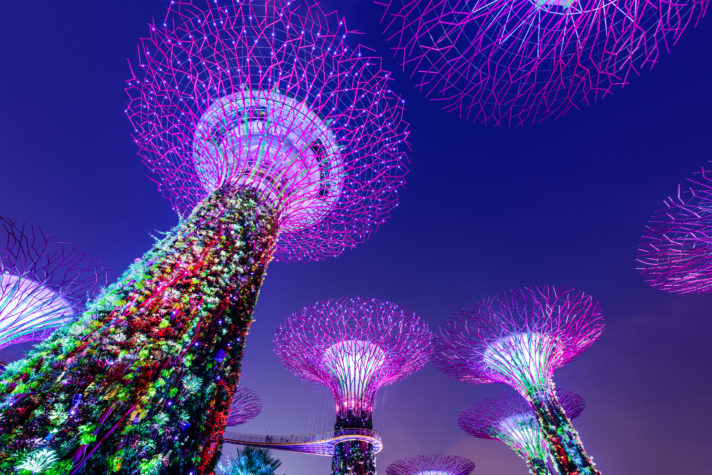 iStock 515069924