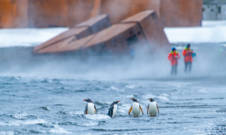 Deception Island Antarctica HGR 137520 Photo Karsten Bidstrup