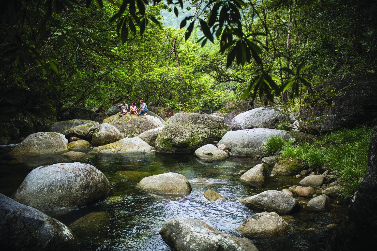 A guest needs to be a conscious traveller especially during a retreat into the Daintree Rainforest's.